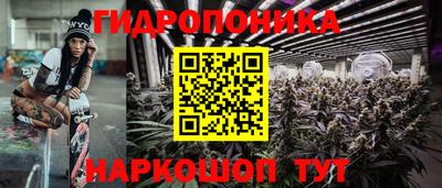 сатива Нарткала