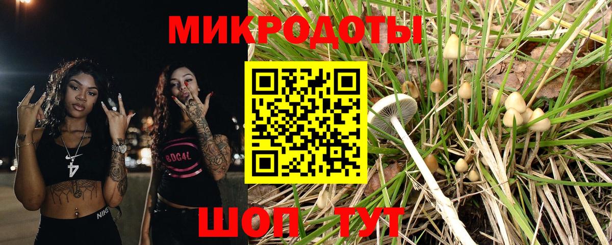 Галлюциногенные грибы Psilocybe Самара